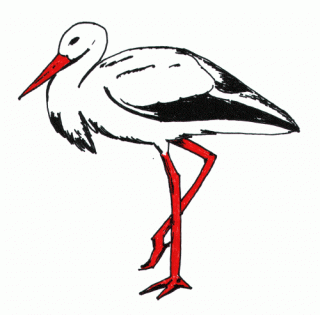 Png Format Images Of Storch PNG images