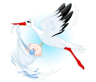 Stork With New Born Child Png PNG images