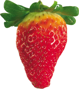 High-quality Strawberry Cliparts For Free! PNG images