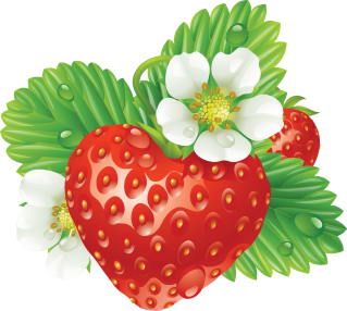 Strawberry Clip Art PNG images