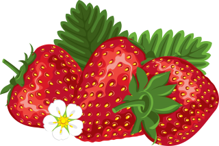 Strawberry PNG Image PNG images