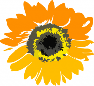 Sunflower Border Clip Art PNG images