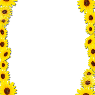 Sunflower Border Frame Png PNG images