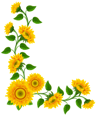 Sunflower Corner Png PNG images