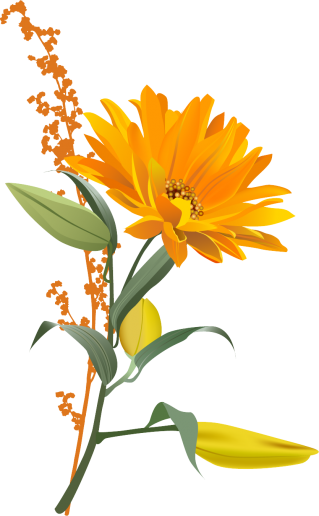 Free Download Of Sunflower Icon Clipart PNG images