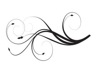 Use These Swirl Line Vector Clipart PNG images