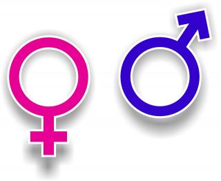 Png Download Vector Symbol Of Woman Free PNG images