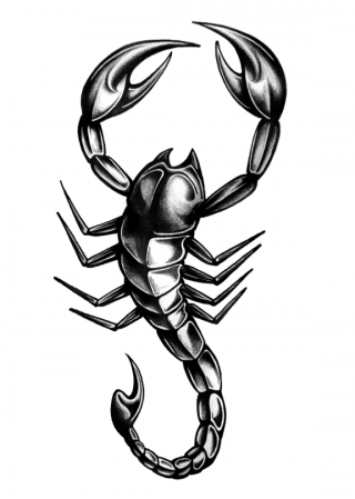 Scorpion Tattoo Png PNG images