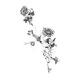 Tattoo Flower Png PNG images