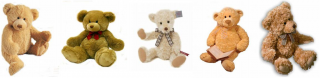 Free Teddy Bear Vectors Download Icon PNG images