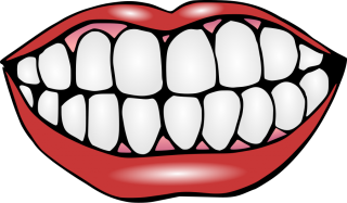 Download Teeth Icon Clipart PNG images