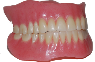 Free Download Teeth Png Images PNG images