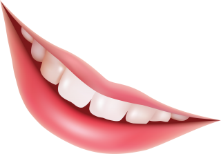 Hd Teeth Png Transparent Background PNG images