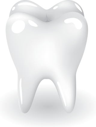 Teeth PNG Free Download PNG images