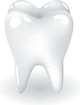 Teeth PNG, Teeth Transparent Background - FreeIconsPNG