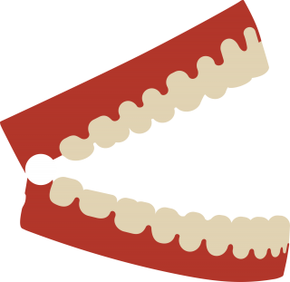 Teeth Png Transparent Background PNG images