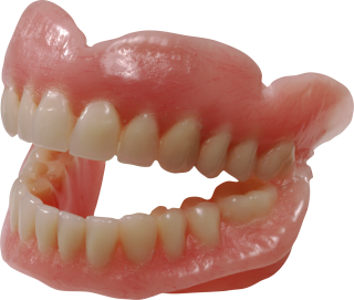 Teeth PNG Transparent Image PNG images