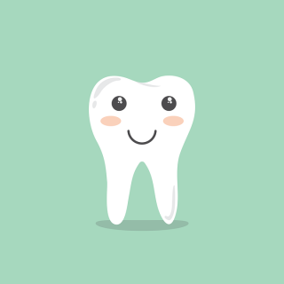 Teeth PNG, Teeth Transparent Background - FreeIconsPNG