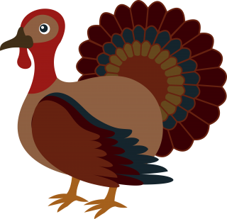 Thanksgiving Turkey Facts Clipart PNG images