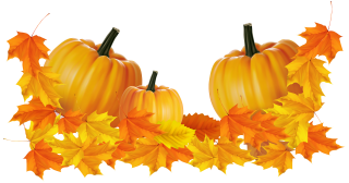 Transparent Thanksgiving Pumpkin Clipart Png PNG images