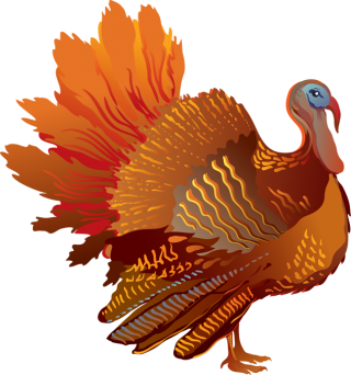 Turkey Clipart Png PNG images