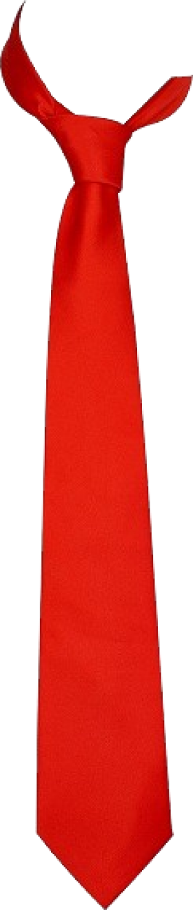 Red Tie transparent PNG - StickPNG