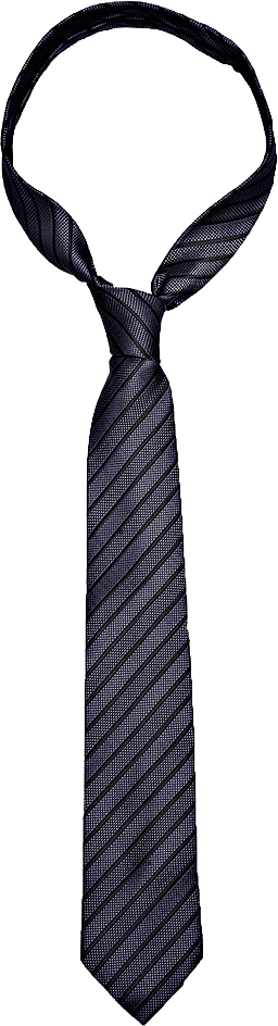 Neck Tie PNG Transparent Images Free Download, Vector Files