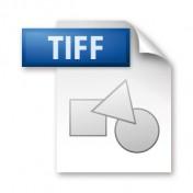 Svg Tiff Free PNG images