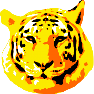 Tiger Icons No Attribution PNG images