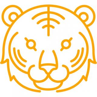 Download Ico Tiger PNG images