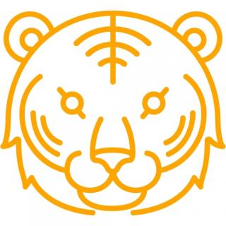 Download Ico Tiger PNG images