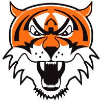 Icon Tiger Svg PNG images