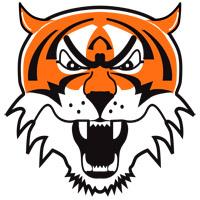 Icon Tiger Svg PNG images