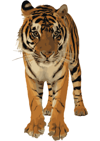 Clipart Best Png Tiger PNG images