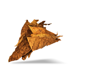 Image For High Quality Tobacco Leaf PNG images