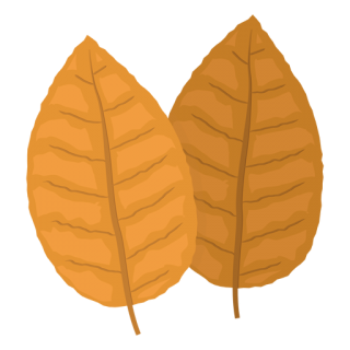 Photo Of Tobacco Leaves Clipart PNG images