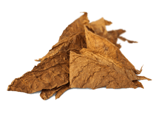 Tobacco, Brown, Leaves, Pictures Of Tobacco Leaves PNG images