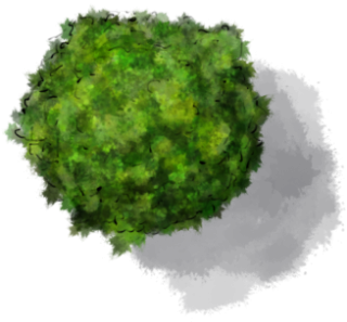 Tree PNG images