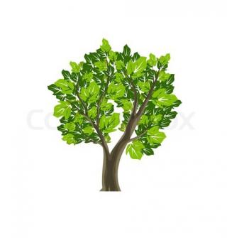Tree Icon – Item 5 | Vector Magz | Free Download Vector Graphics PNG images