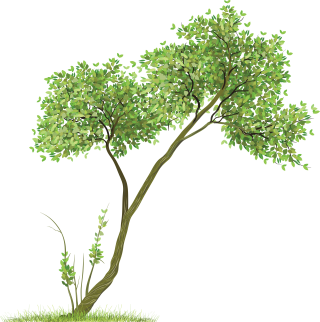 Tree Background PNG images