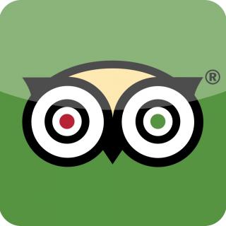 Icons Tripadvisor Windows For PNG images