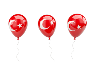 Turkey Flag Icon Download Png PNG images