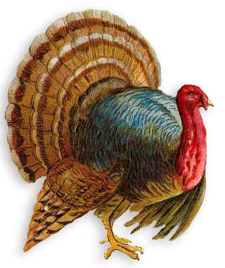 Turkey Png Clipart Best PNG images