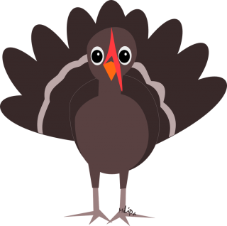 PNG Turkey Image PNG images