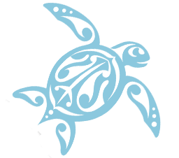 Turtle Symbols PNG images