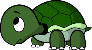 Clipart Best Turtle Free Images PNG images