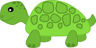 Download PNG Turtle Free PNG images