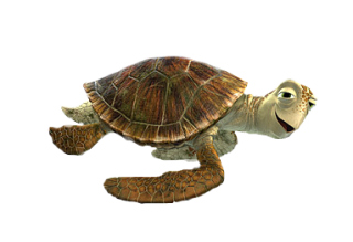 Download Icon Turtle PNG images