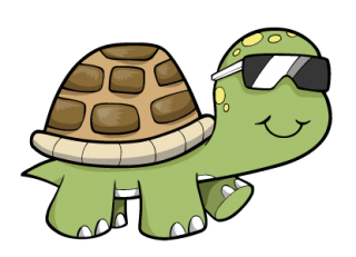 Images Turtle Download Free PNG images