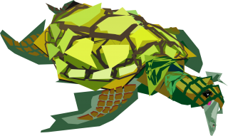 Clipart Free Turtle Pictures PNG images